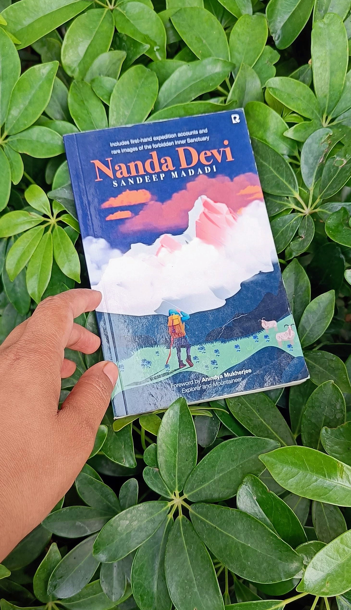 Nanda Devi by Sandeep Madadi #Bookreview