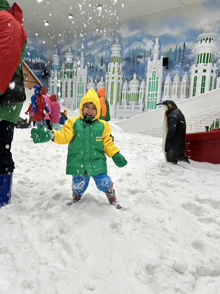 A practical and fun itinerary for Shimla with family