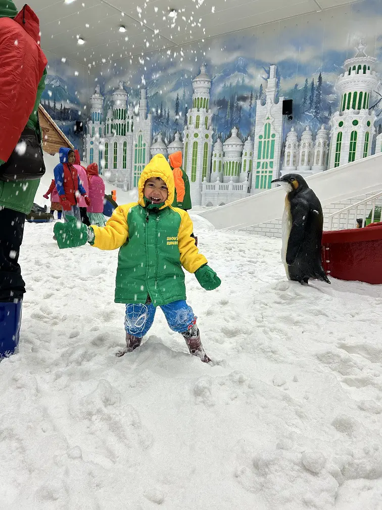 A practical and fun itinerary for Shimla with family